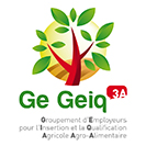 Groupement d'employeurs GEIQ3A